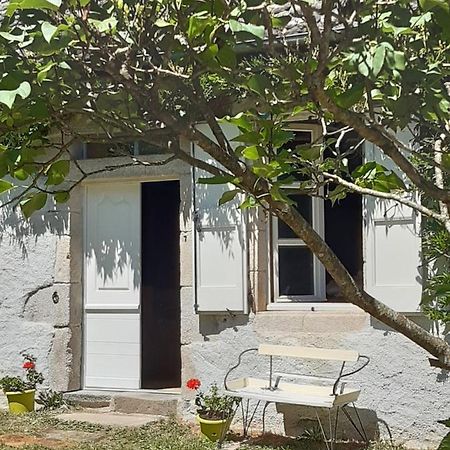 Chez Mialaret Bed and Breakfast Tourniac Εξωτερικό φωτογραφία